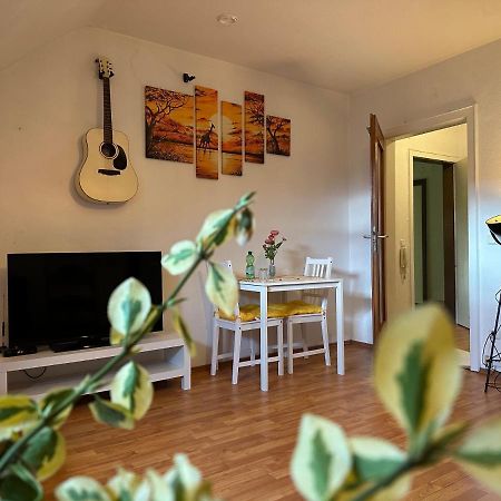 Kleine Oase In Essen-Sued Apartment Екстериор снимка