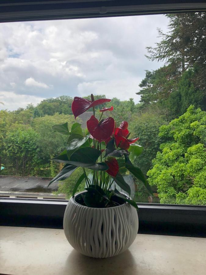 Kleine Oase In Essen-Sued Apartment Екстериор снимка